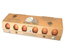 Huevos frescos camperos  categoria A y clase M / L OLÉ Tus huevos 12 uds.