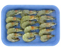Langostinos crudos