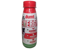 Bebida Energy perros plus  DUMT 250 ml.