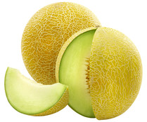 Melón galia