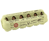 Huevos frescos de categoria A y clase M PRODUCTO ALCAMPO 12 uds.
