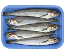 Bacaladillas