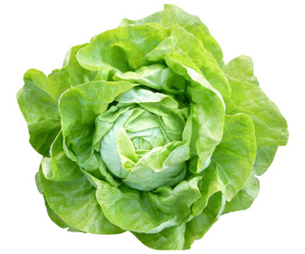56857_1.jpg 56857_1.jpg