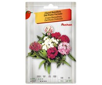Sobre de semillas para plantar claveles de la variedad del poeta de colores variados PRODUCTO ALCAMPO.