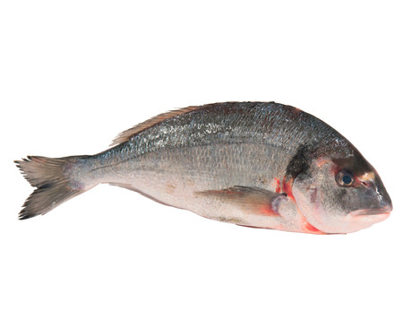 Dorada mostrador Dorada mostrador