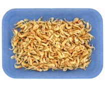 Quisquillas cocidas