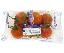 Tomates en rama cesta de 1 kg.
