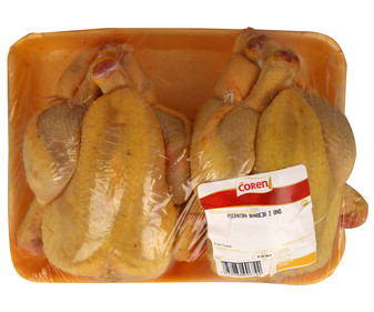 Pollo picantón Pollo picantón