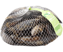 Mejillón ecológico 1 kg.