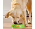 Alimento húmedo , gelatina para perros FRISKIES PURIN 12 uds. x 100 g