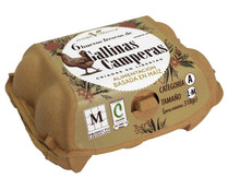 Huevos frescos camperos, de categoria A y clase M - L GRANJAS VILLARREAL 6 uds.