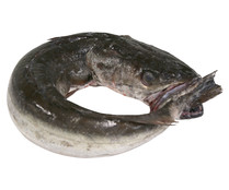 Merluza pincho de Celeiro mostrador