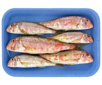 Salmonete Salmonete