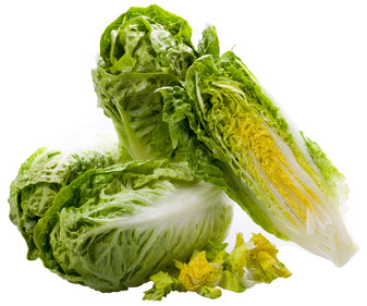 Lechuga Corazones 6u Lechuga Corazones 6u