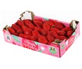 Fresón caja rosa ALCAMPO PRODUCCIÓN CONTROLADA 1 kg.