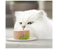 Comida para gatos a base de mousse de pescado blanco GOURMET  tarrina 85 g. 