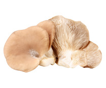 Setas barqueta 400 g.