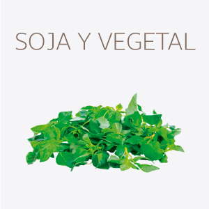 Soja o Vegetal