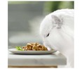 Comida para gatos adultos a base de verduras GOURMET 4 uds. 85 g.