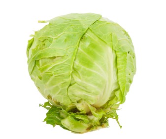Repollo 