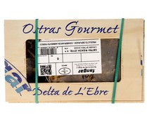 Ostras rizadas 6 uds.