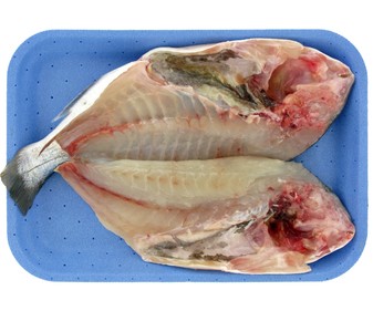 Dorada abierta Dorada abierta