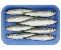 Sardinas parrochas