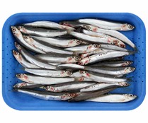 Boquerones pequeños