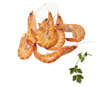 Langostino cocidos calibre 30-40 Langostino cocidos calibre 30-40