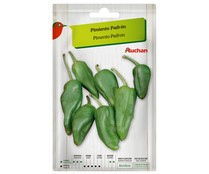 Sobre de semillas para sembrar pimientos de la variedad Padrón PRODUCTO ALCAMPO.