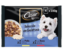 Comida para perros a base buey, pollo y arroz CESAR 4 uds. x 100 g.