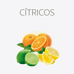 Cítricos