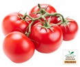 Tomates rama PREMIUM