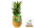 Piña del Monte PREMIUM