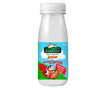 Leche fermentada ecológica con Lcasei y sabor a fresa CASA GRANDE DE XANCEDA 165 g.