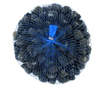 Bígaro 200/300 500 g.