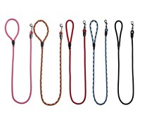 Correa de nylon de cordón de 110 centímetros para perros de talla pequeña ARPPE 1 ud.