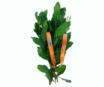 Laurel, manojo de 100 gramos aproximadamente Laurel, manojo de 100 gramos aproximadamente