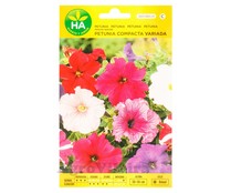 Petunia compacta variada - 4000 Semillas (0,50 Gramos) - Sobre Hermético HA