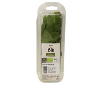 Albahaca ALCAMPO ECOLÓGICO 20 g.