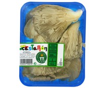 Setas bandeja de 200g.