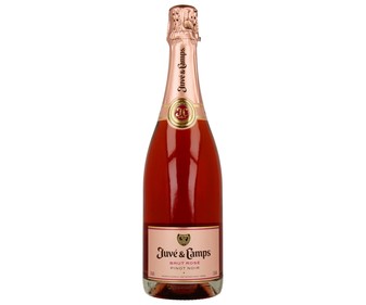 Cava brut rosado JUVÉ & CAMPS botella de 75 cl. Cava brut rosado JUVÉ & CAMPS botella de 75 cl.