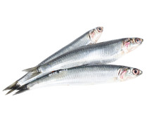 Anchoa mostrador