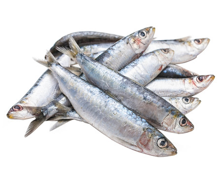 Sardina de asar Sardina de asar