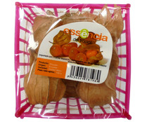 Physalis Alquenquenje ESSENCIA del Trópico 100 gr.