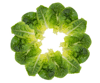 56665_1.jpg 56665_1.jpg