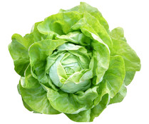 Lechuga trocadero 1 Unidad