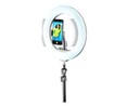 Aro de luz con trípode CELLULAR LINE SELFIERINGPROK, anillo Led 13'', altura 1,60m, 3 modos de iluminación, mando Bluetooth.