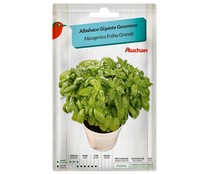 Sobre de semillas para plantar albahaca de la variedad Genovesa de tamaño grande 2 PRODUCTO ALCAMPO.