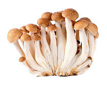 Shimeji marrón 150 g.
